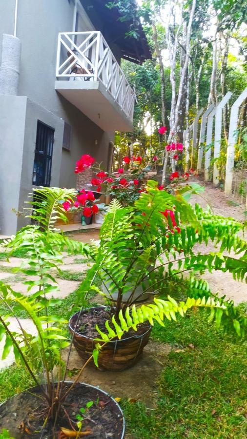 Vila Mulungu Casa Exterior photo
